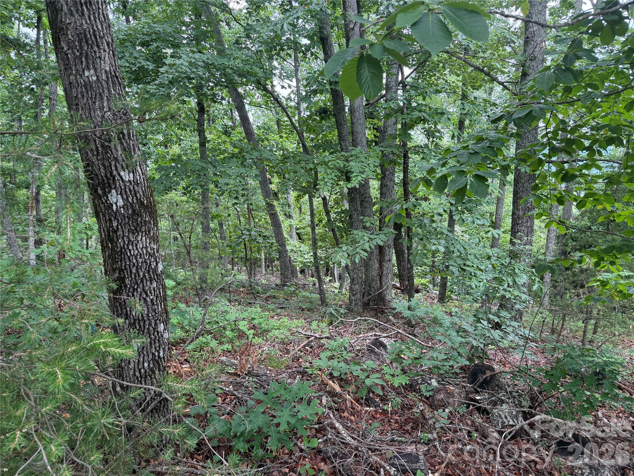 0 Arbra Mountain Way 54
