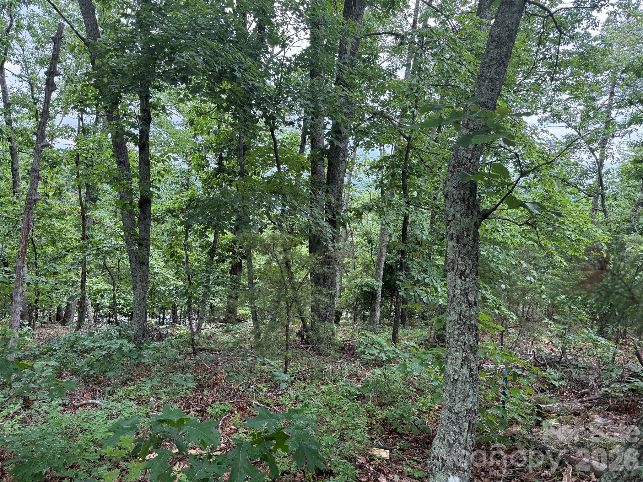 0 Arbra Mountain Way 54