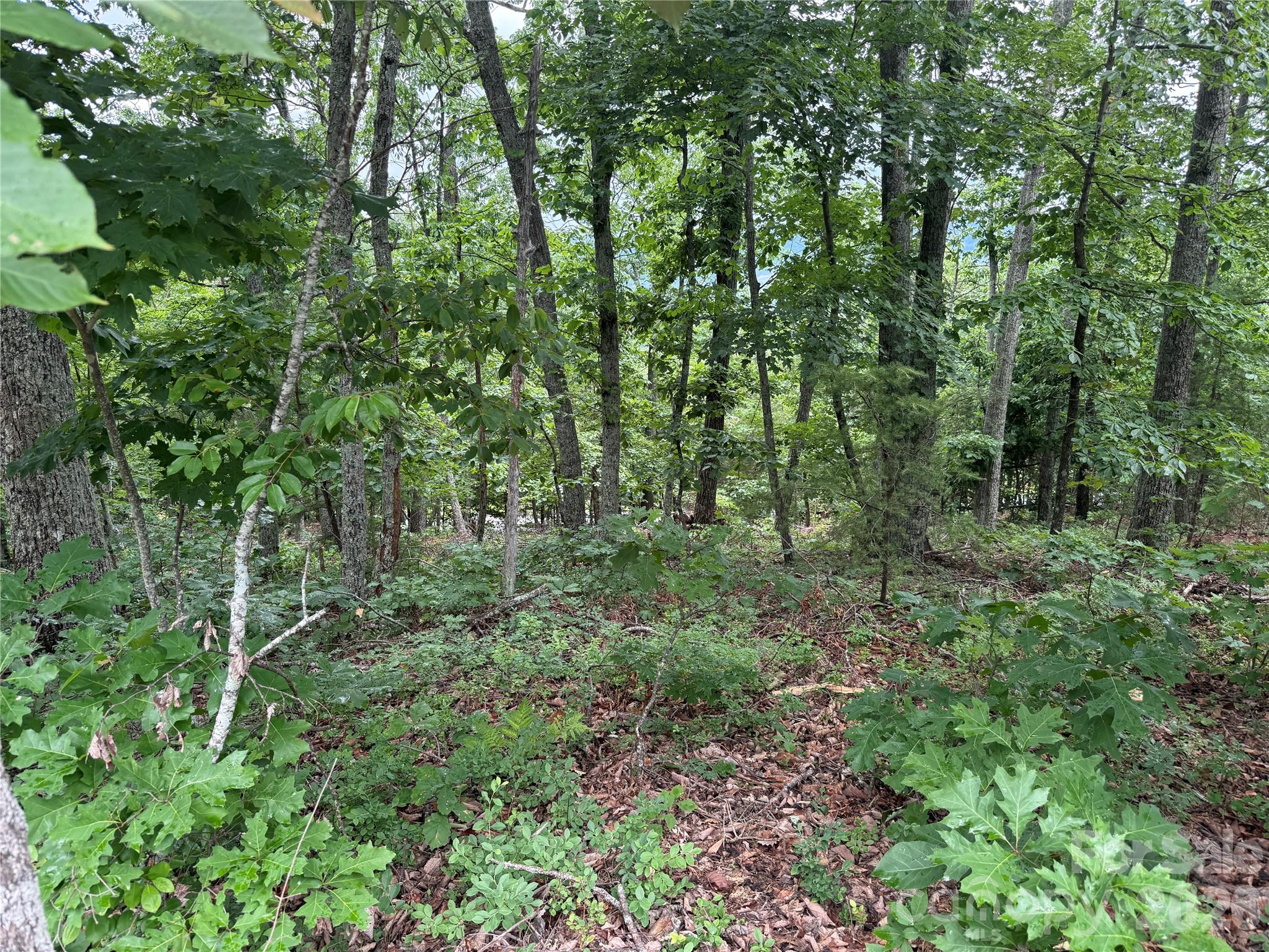 0 Arbra Mountain Way 54
