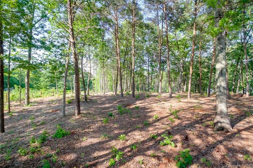 Breathtaking location tucked away near the end of Brawley School Peninsula.  Excellent building lot with elevated WATERVIEWS. The sellers have already had the property surveyed and permitted for a 4 bedroom septic. One of the nicest remaining building lots at this price in the area!  Neighbors are prepared to put in an asphalt road after construction is completed.