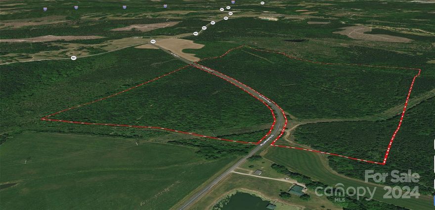 129 +/- secluded acres near Richburg offering an array of possibilities for developers, hunters, investors or to create a private estate/family compound. 2300 +/- feet of road frontage on both sides of William Martin Road creates 92 +/- acres on one side, and 35 +/- acres on the opposite side of the road. You could develop multiple estate lots using R-2 guidelines or with zoning approval build your own secluded barndominium. The timber was last cut in 1997 presenting a thinning opportunity for aesthetic enhancement & potential revenue. It's conveniently located about 15 minutes from the new Great Falls Whitewater Center on the Catawba River near Lake Wateree and about 2 miles from Rocky Creek Sporting Clays, one of the premier shooting facilities in the Carolinas. The property is about 5 miles from exit 55 & 7 miles from exit 62 on I-77, roughly the midpoint between Charlotte & Columbia about 45 minutes away. The sale is subject to probate court approval, estimated to be early summer.