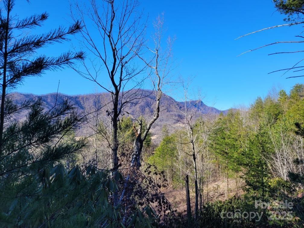 Lot 104 Jean Drive