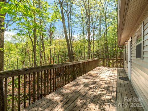 66 Avondale Heights Road Asheville NC 28803