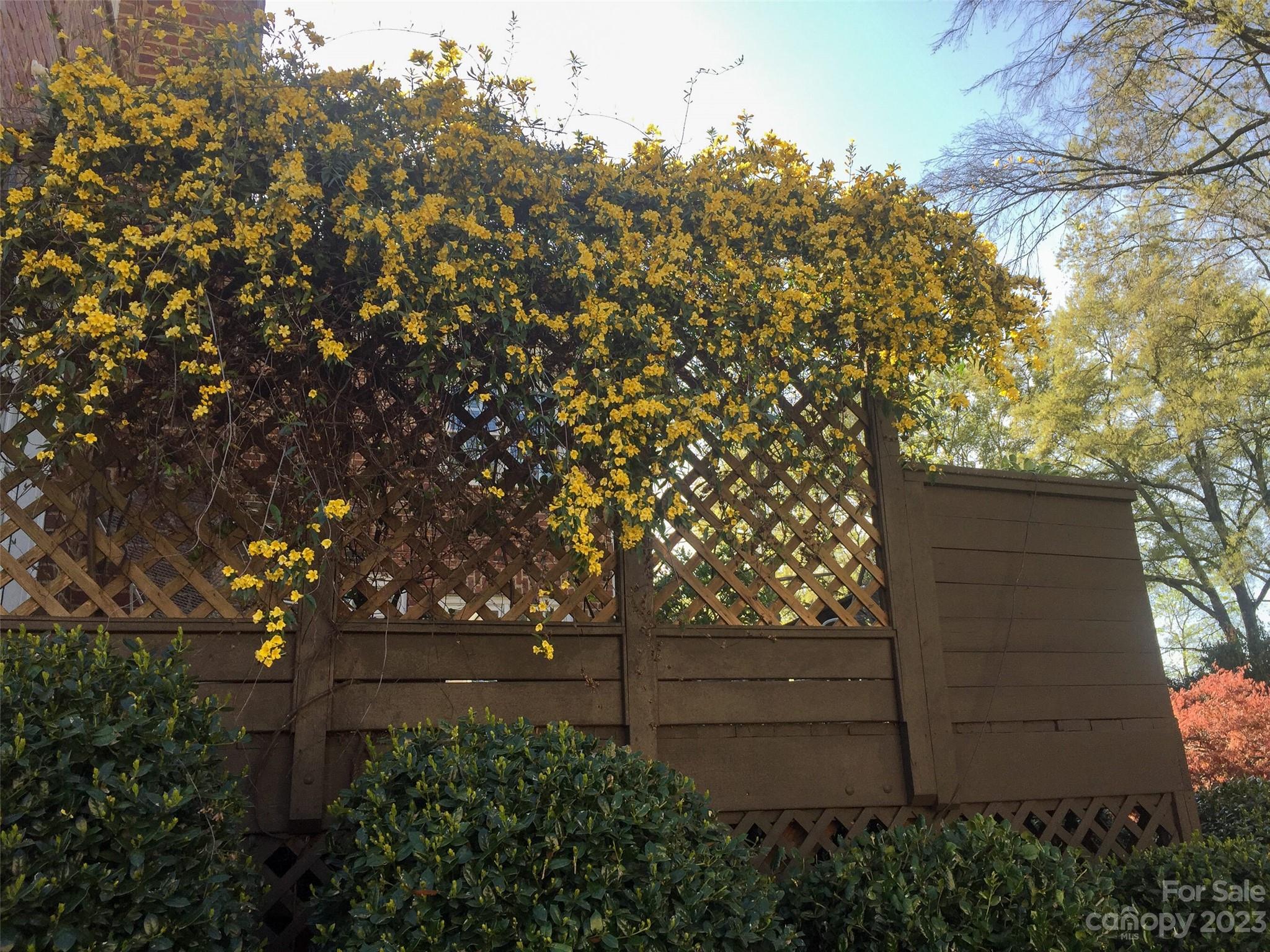 Providence Country Club - Residential