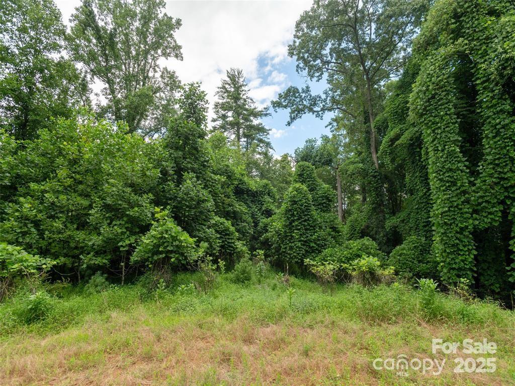 00 Willow Brook Falls None 3