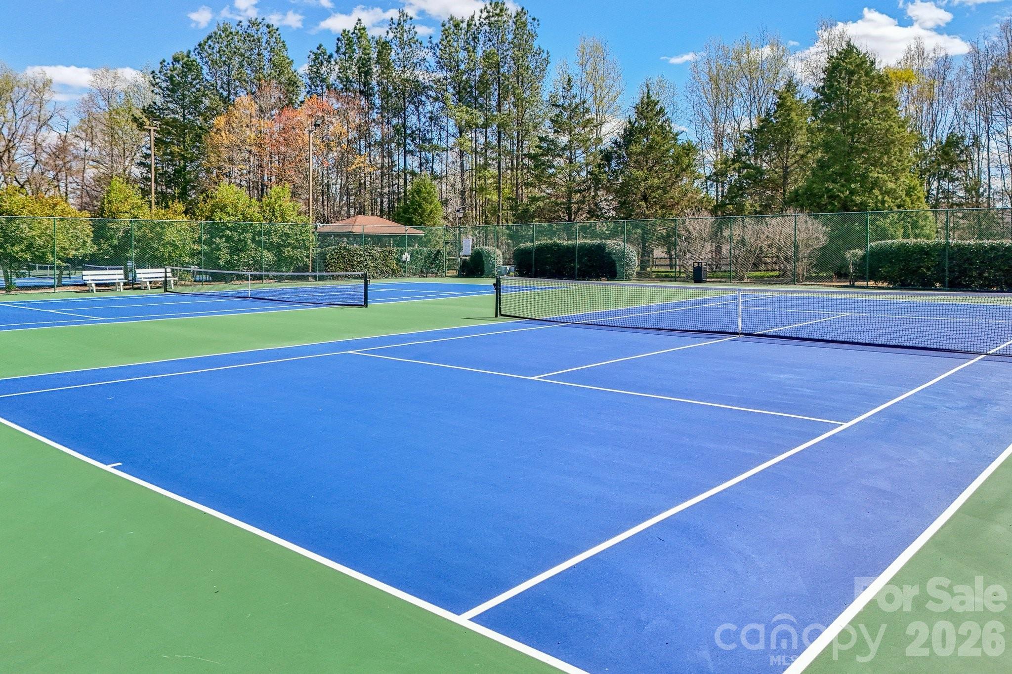 Towne Square Townhomes At Regent Park - Residential