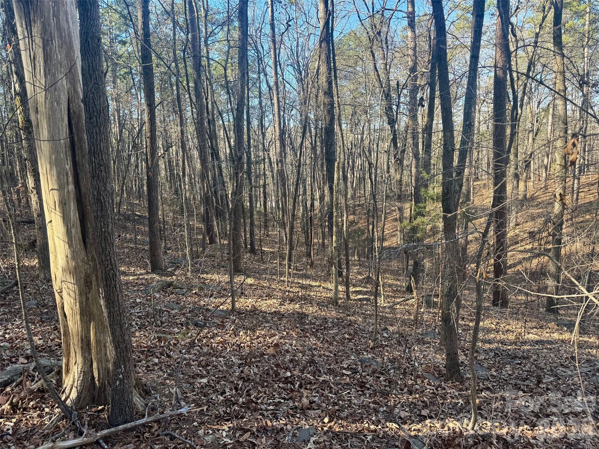 24992 Business 52 Highway