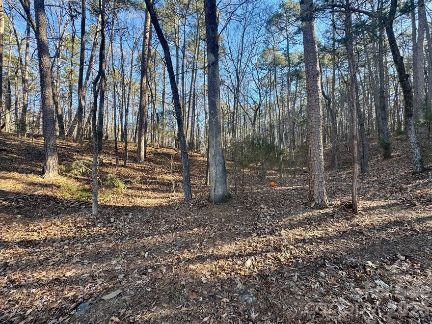 Motivated Seller!  Send all offers!  Rare opportunity to own 2.5 wooded acres in a highly sought-after location directly across from Rock Creek Park. This versatile property features both commercial and residential zoning, making it ideal for a variety of potential uses. Natural wooded setting provides privacy and a park-like feel while remaining close to shopping, dining, and major thoroughfares. An excellent option for investors, developers, or those looking for a unique mixed-use opportunity.