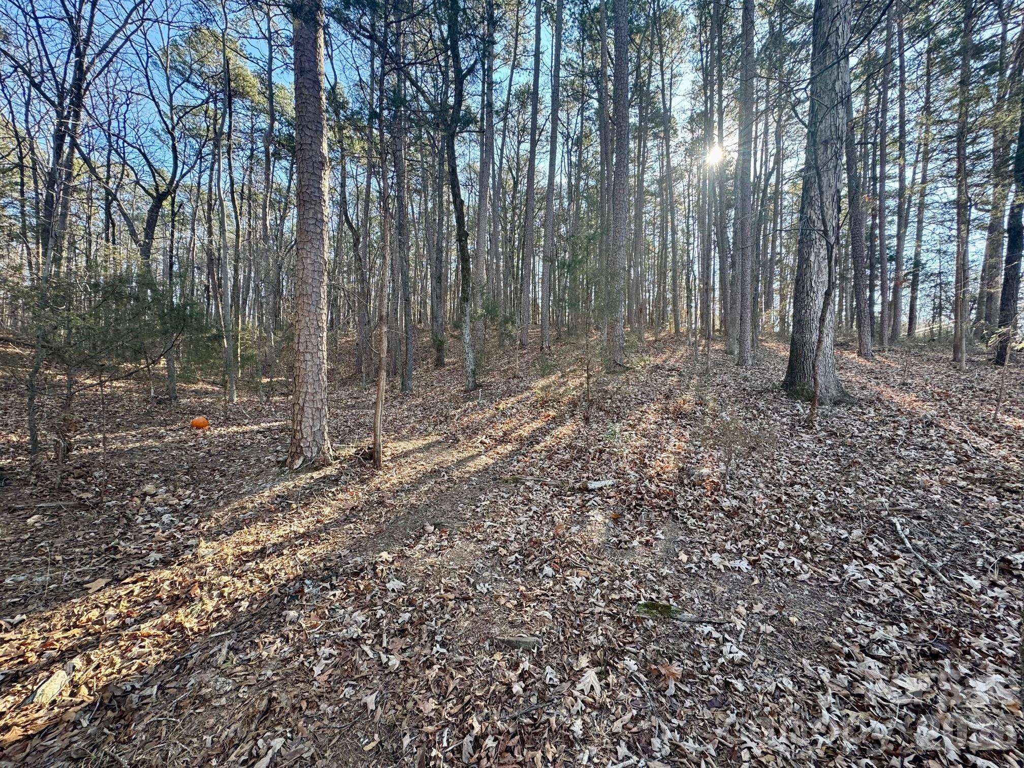 24992 Business 52 Highway