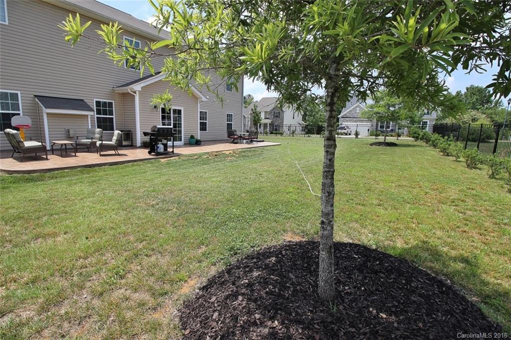 Mill Creek Falls - Residential