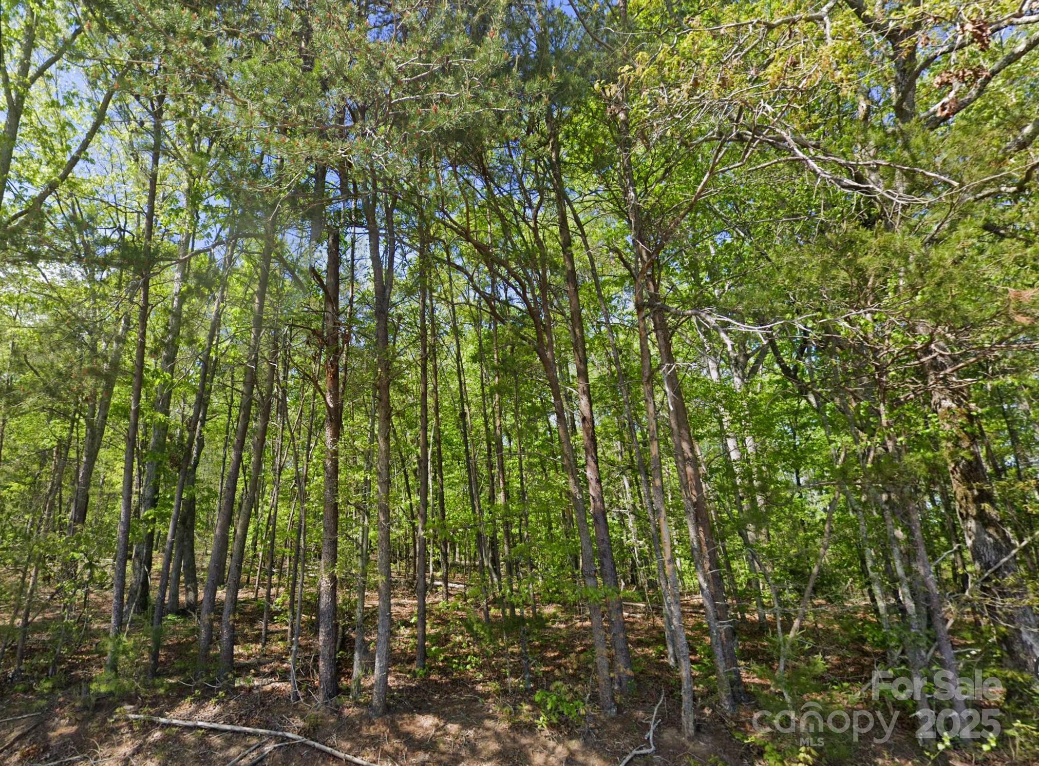 0 Pleasant Grove Road