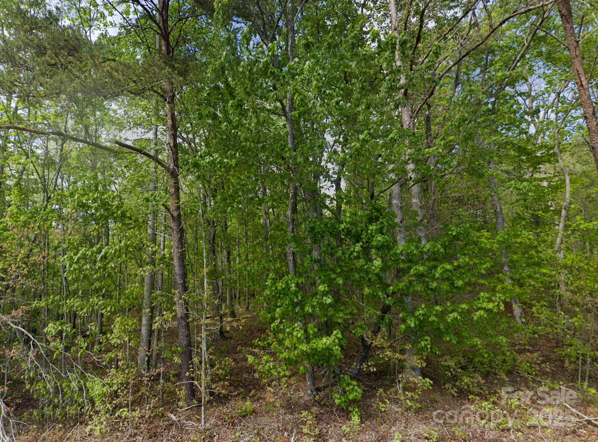 0 Pleasant Grove Road