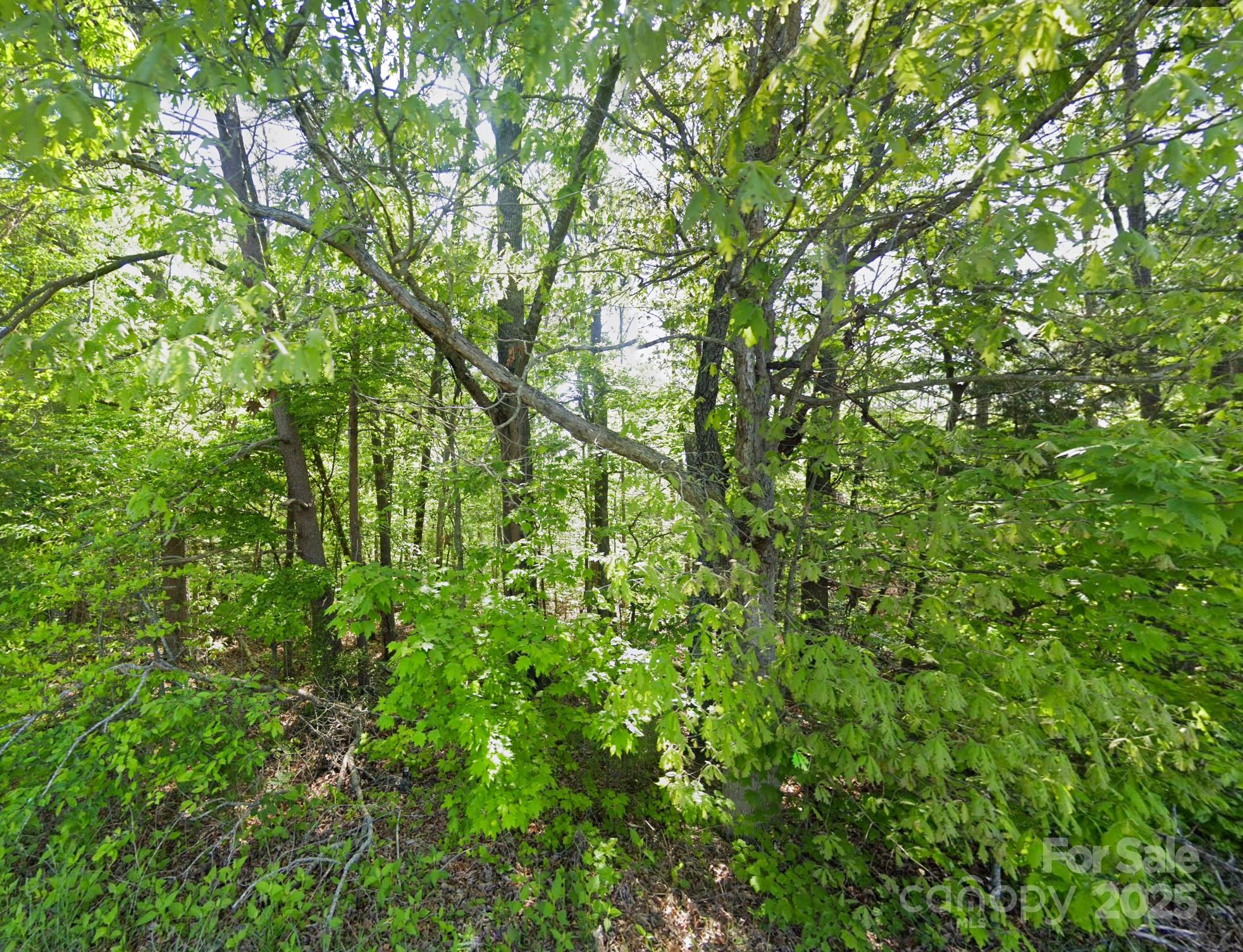 0 Pleasant Grove Road