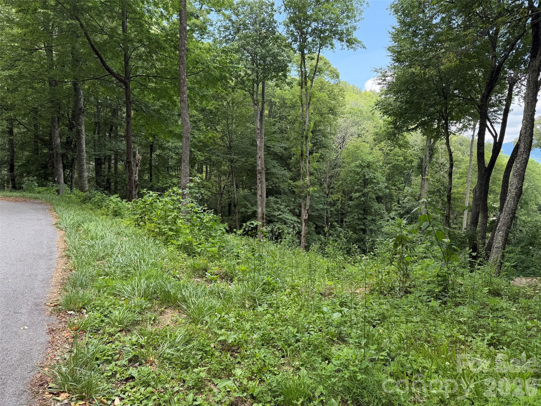 Lot 5 Gadohi Trail 5