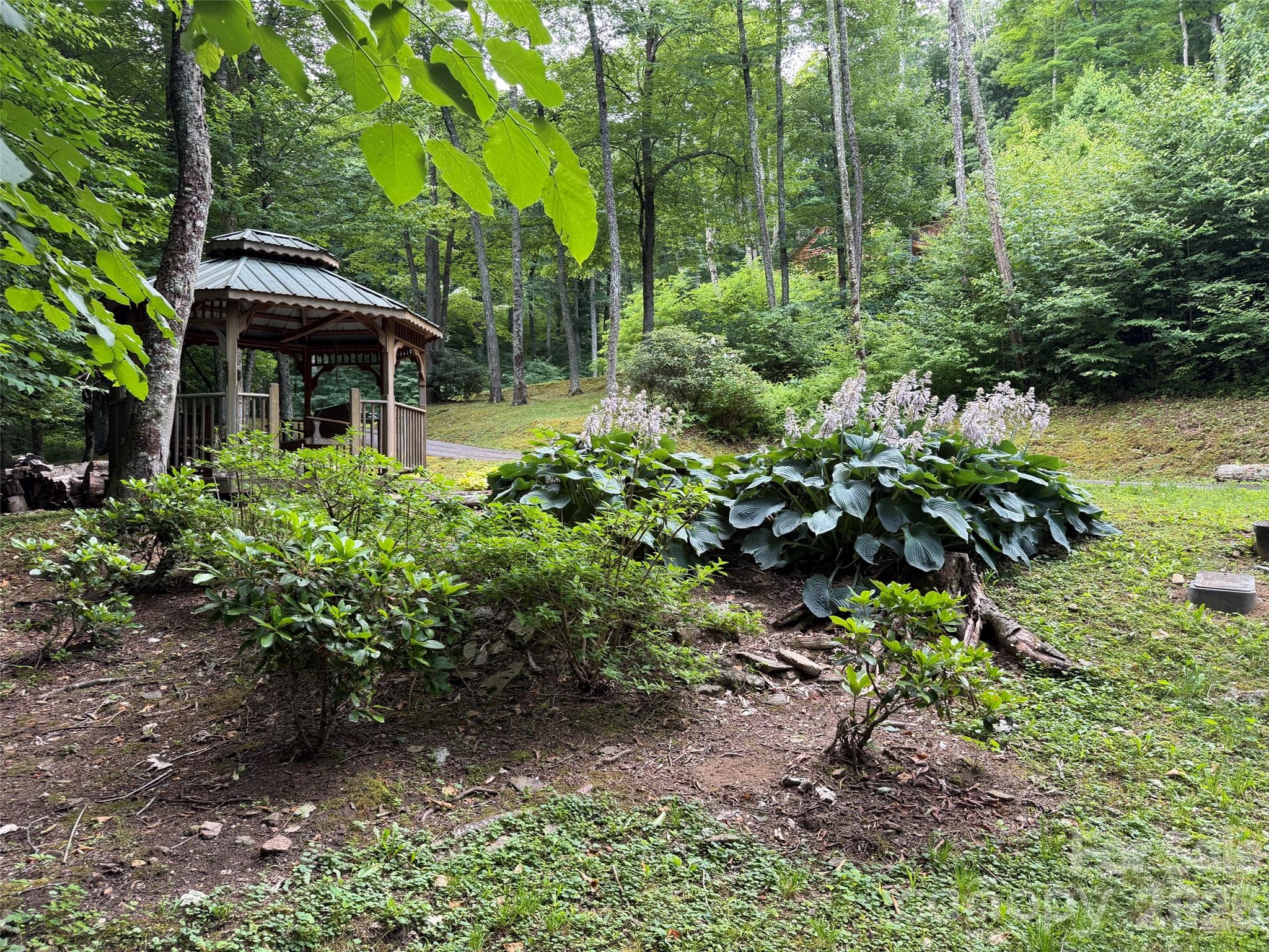 Lot 5 Gadohi Trail 5