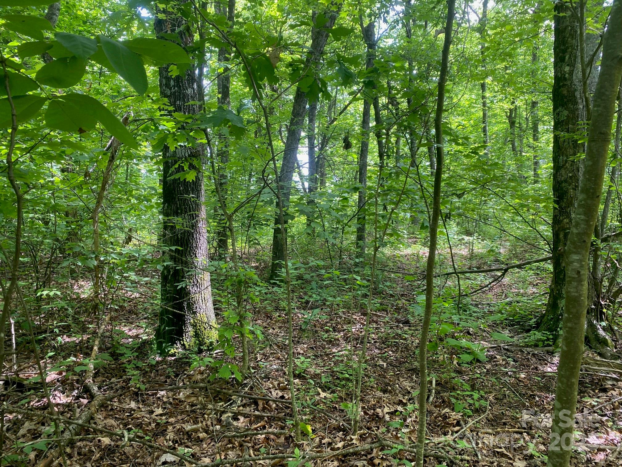 129 High Cliffs Trail