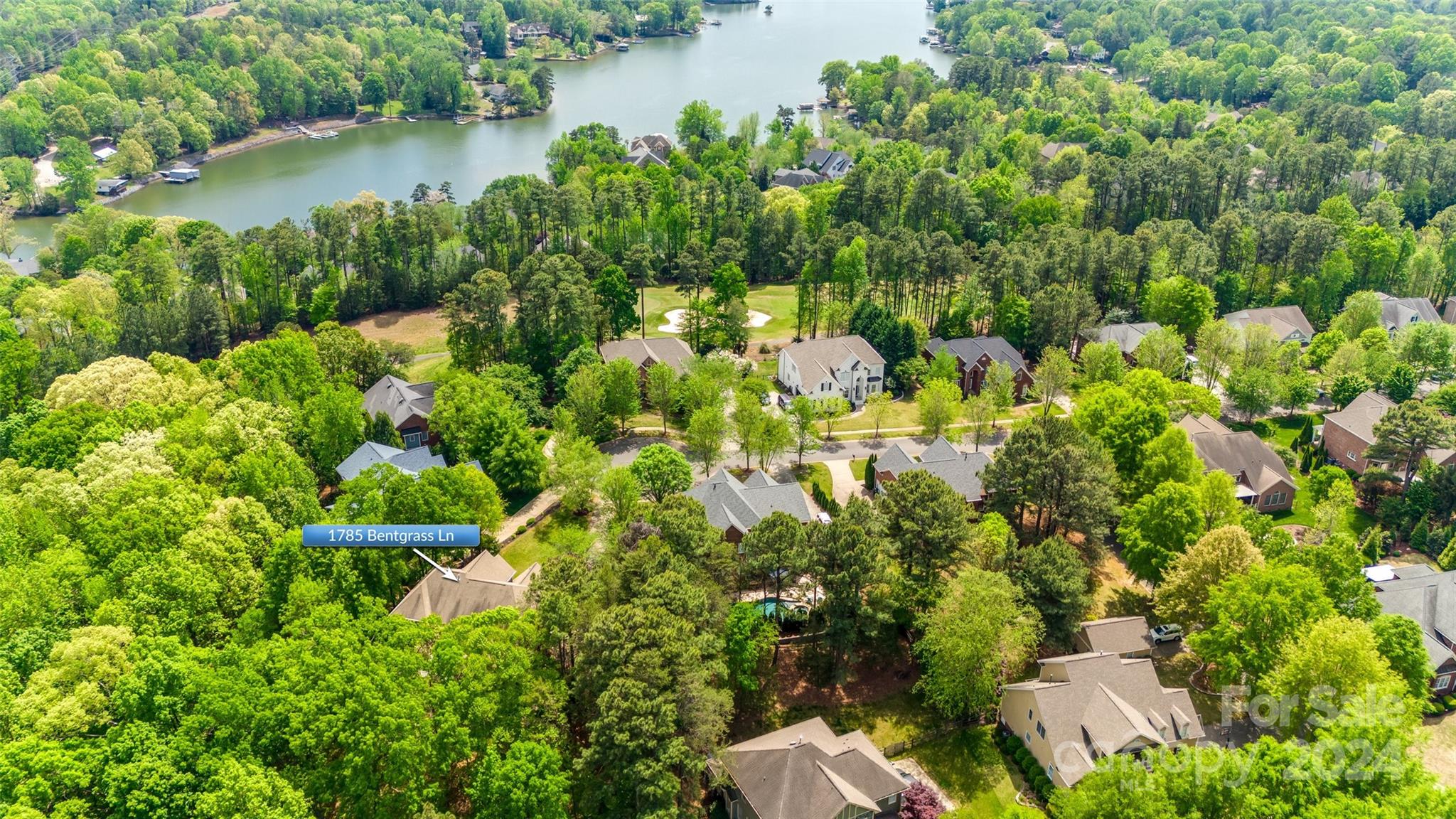 Lake Shore - Residential