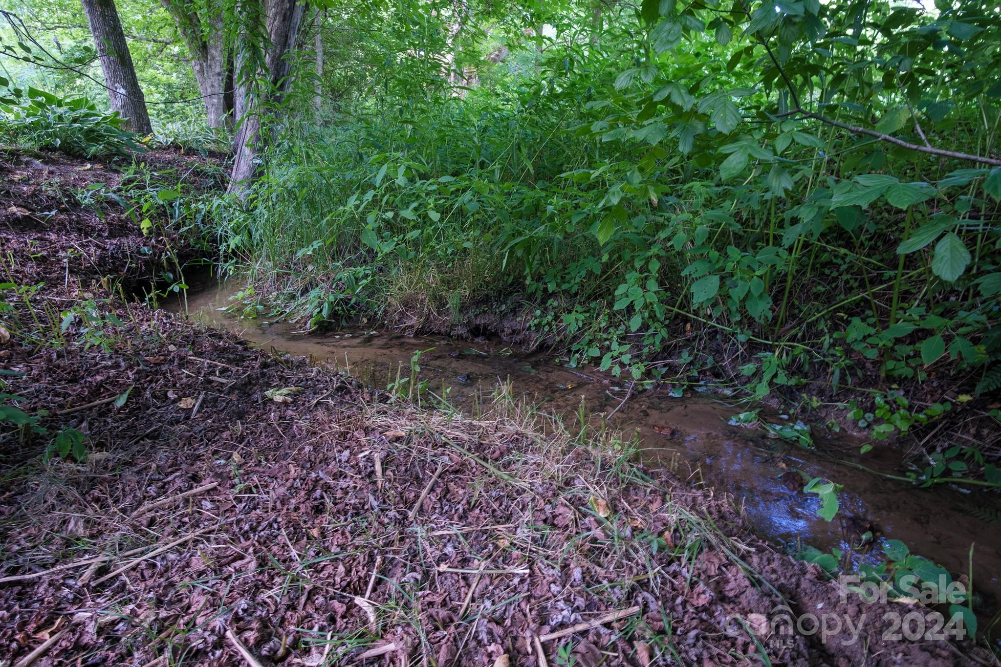 Forest Creek - Residential