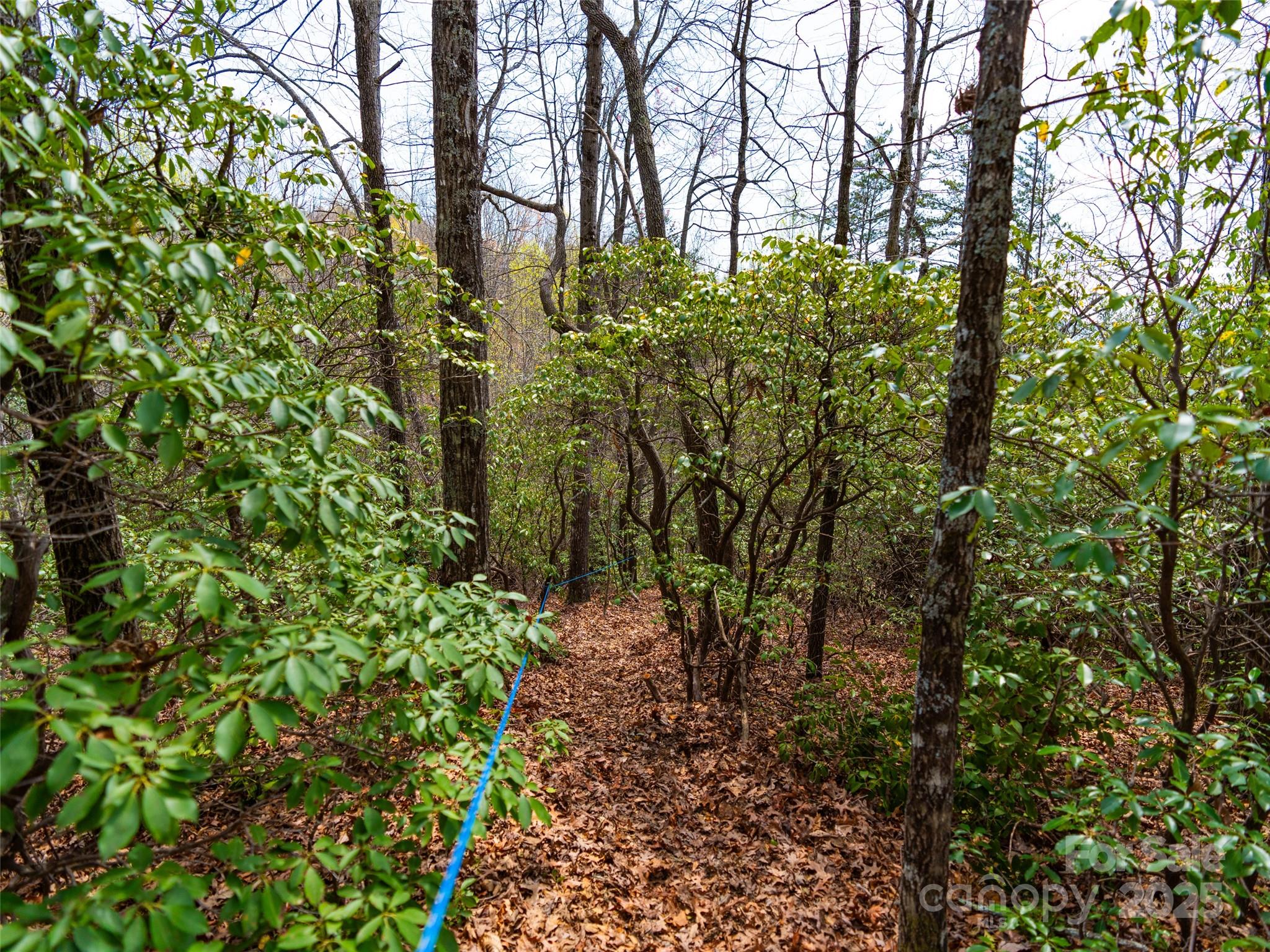 Gateway Mountain - Land