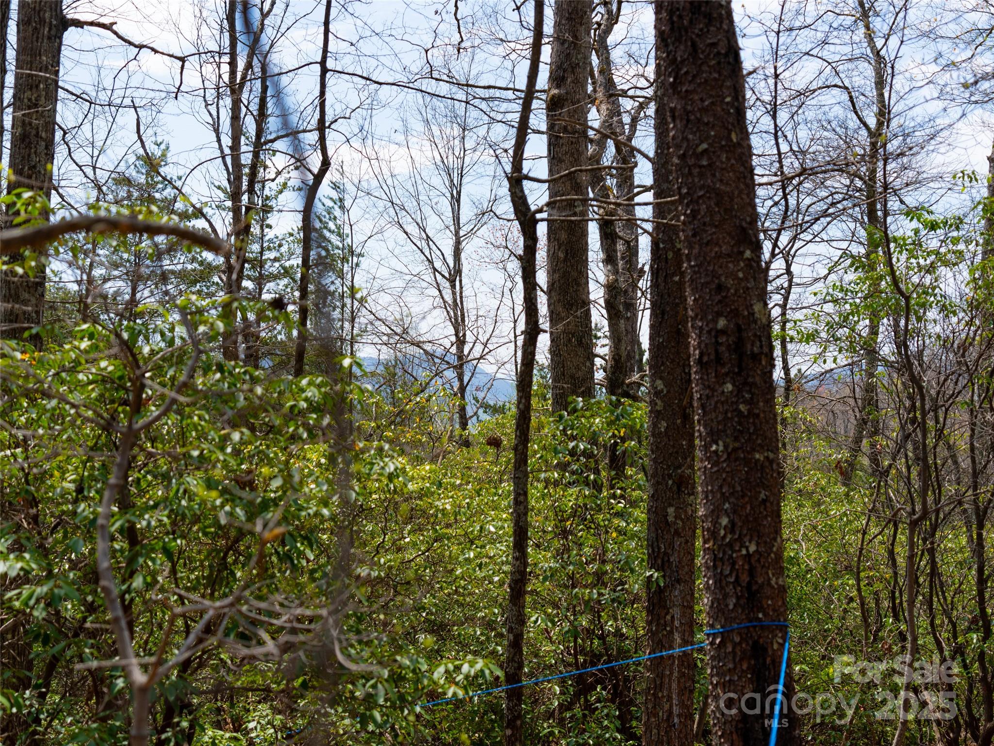 Gateway Mountain - Land