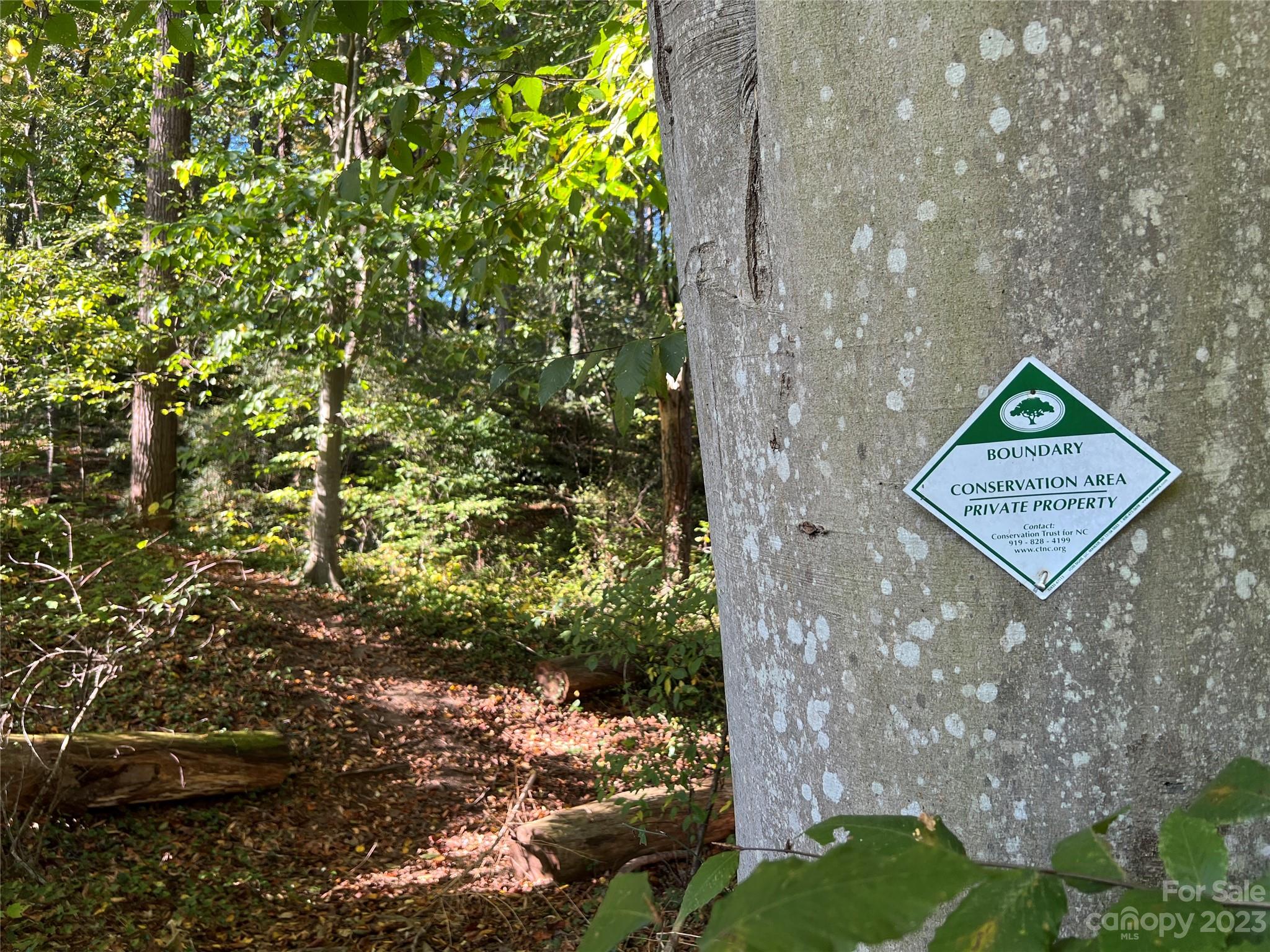 Craggy Park - Residential