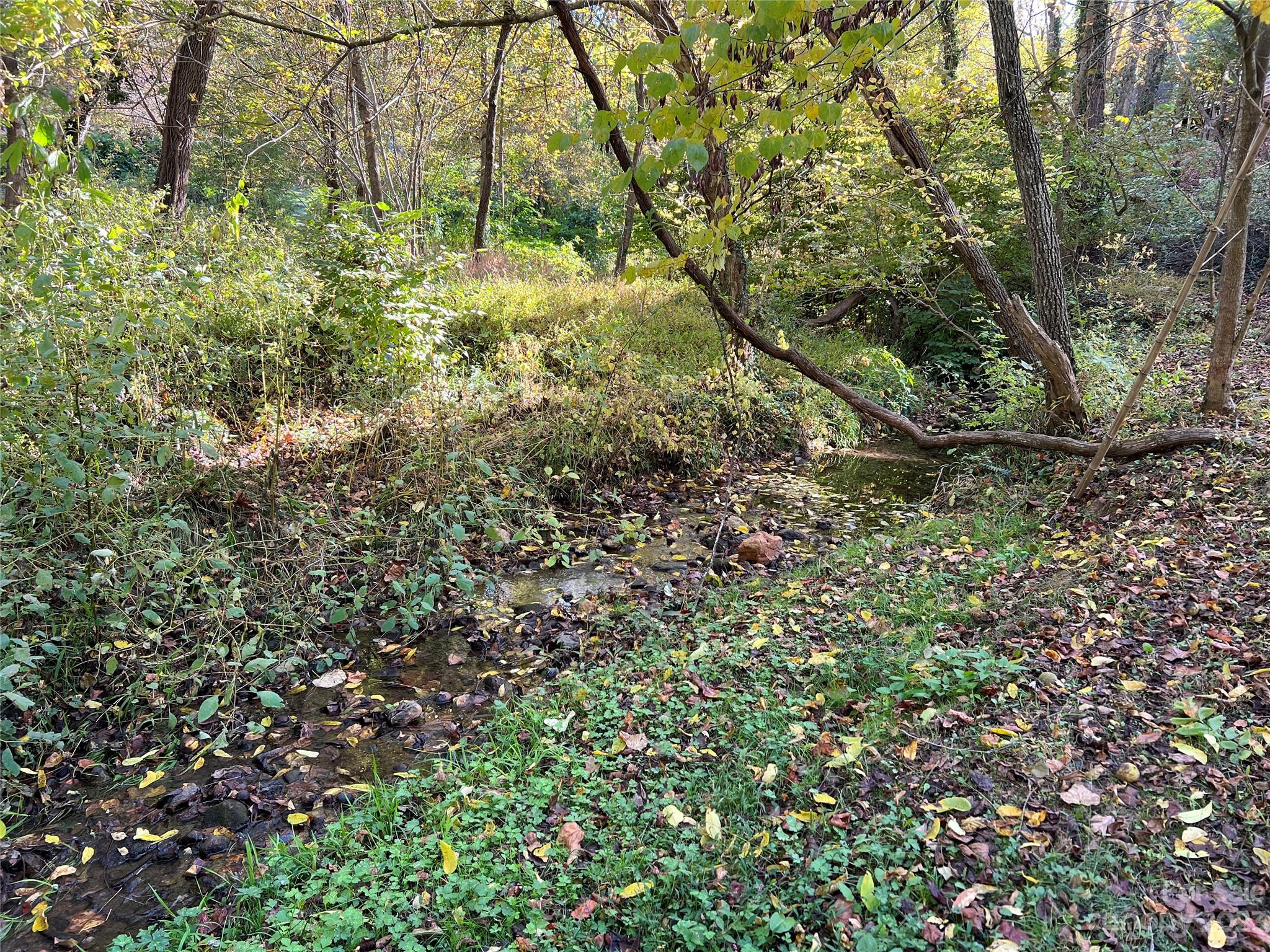 Craggy Park - Residential