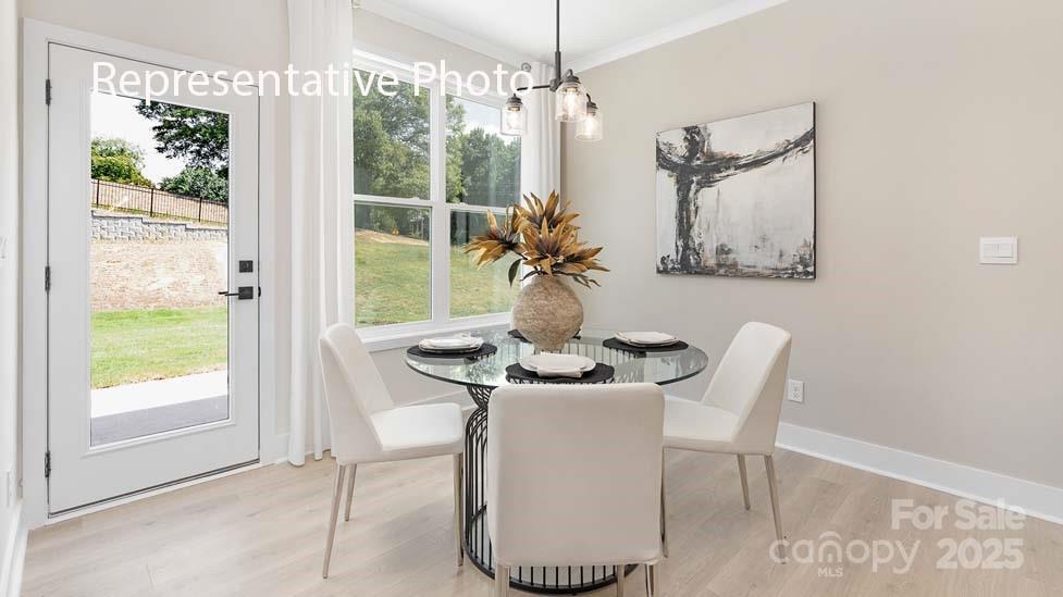 3012 Canvasback Way