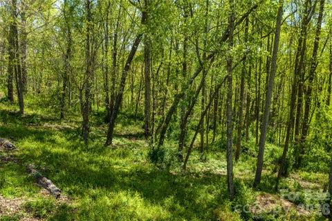 Photo of 9999 Bee Balm Way #55, Asheville, NC 28804 (MLS # 4409301)
