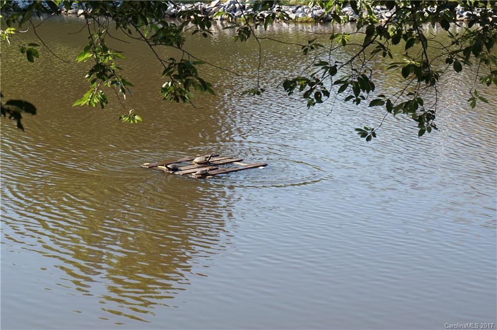 The Villages At Oak Tree - Residential