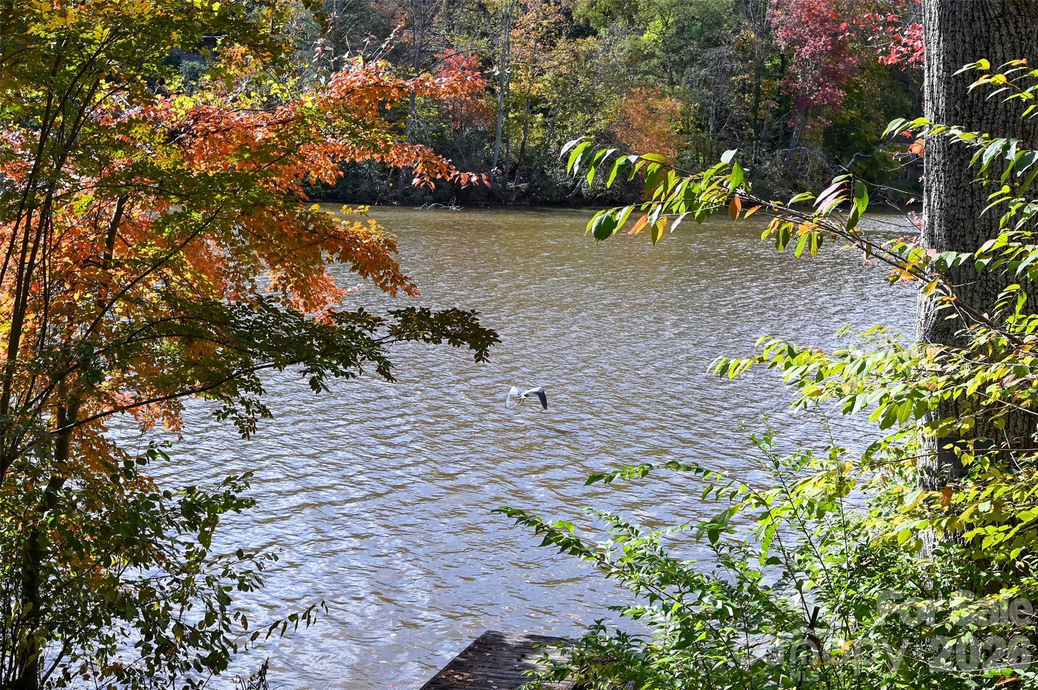 Kenilworth Forest - Residential