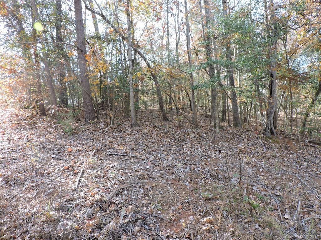 Carolina Forest - Land