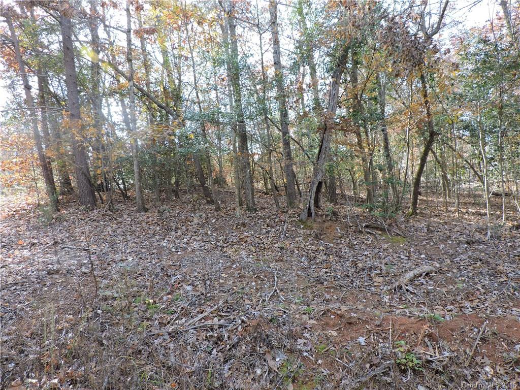 Carolina Forest - Land