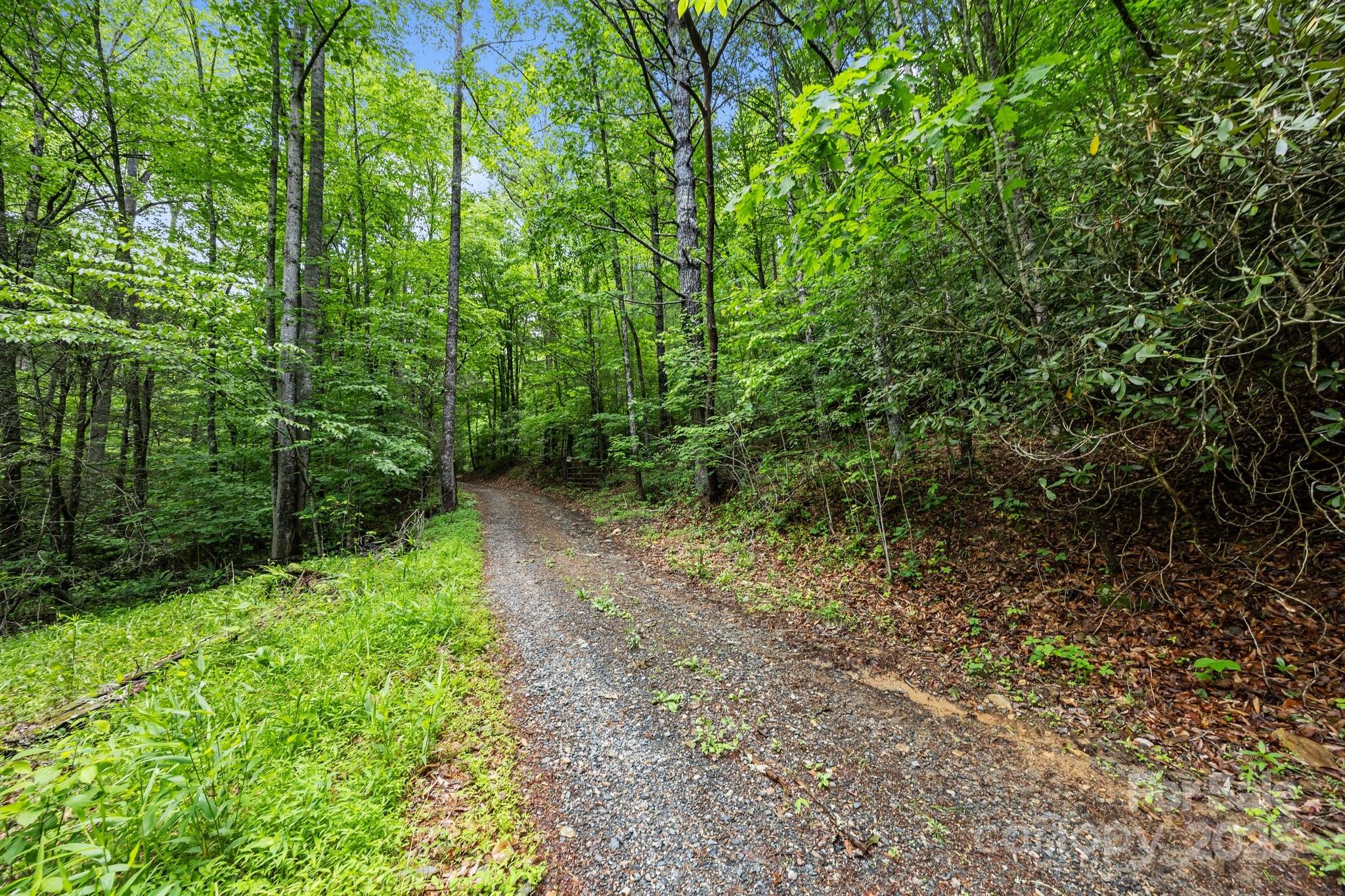 9999 Burnette Reeves Road