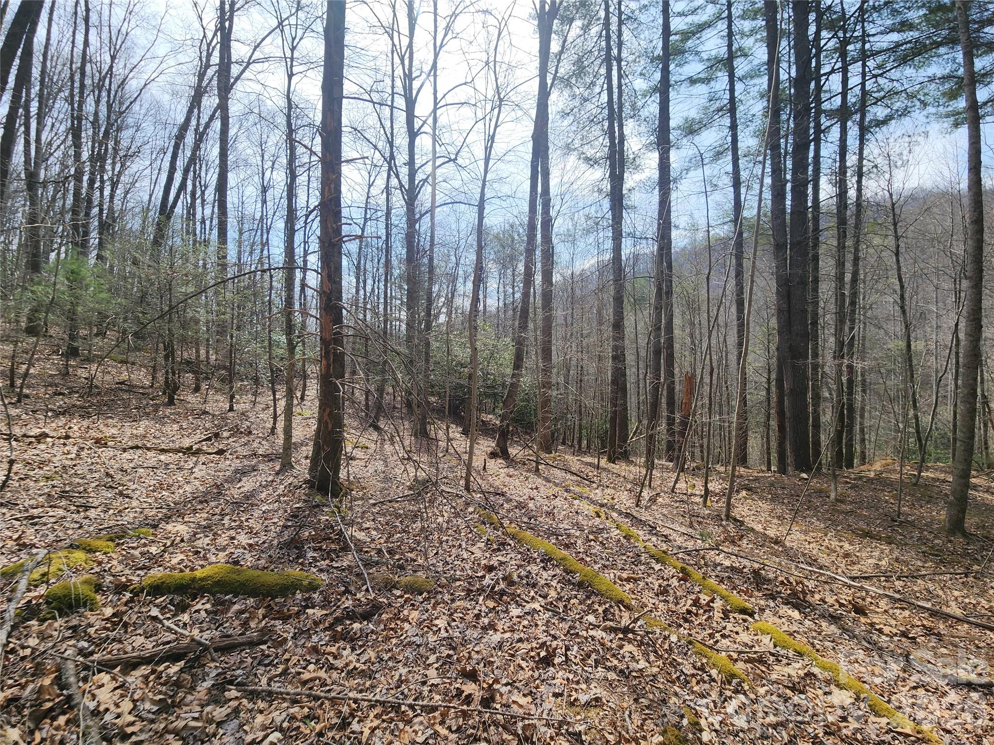 9999 Burnette Reeves Road