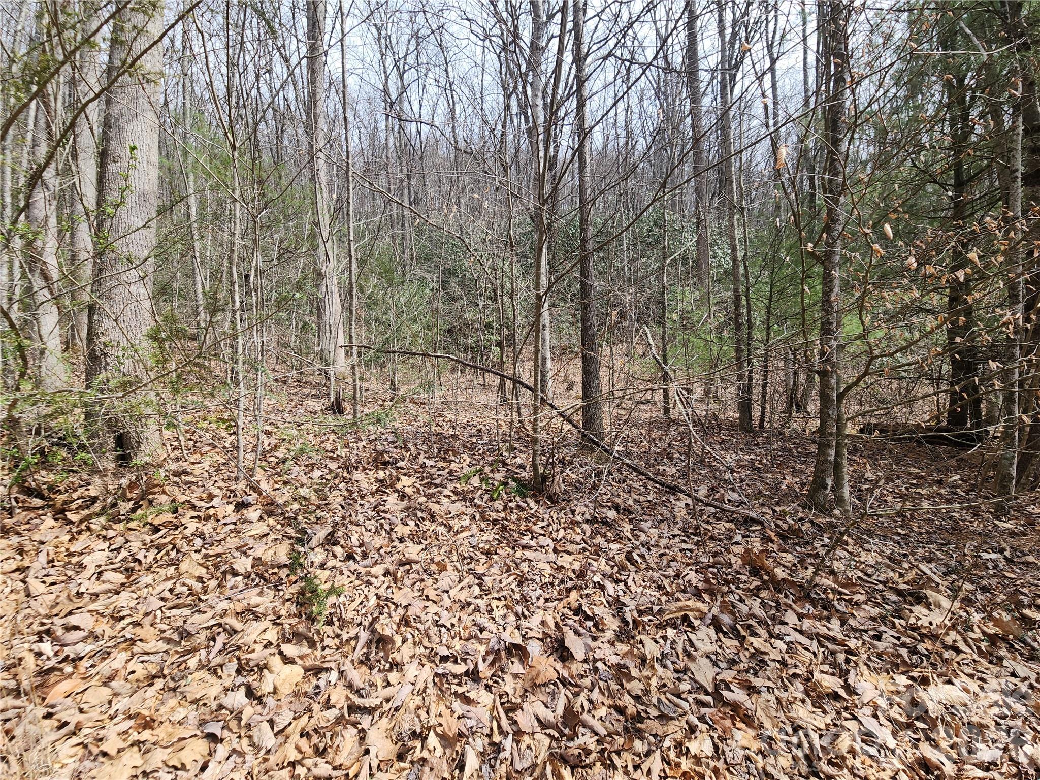 9999 Burnette Reeves Road