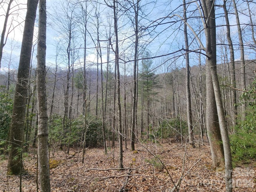 Experience the beauty and privacy of Western North Carolina with this impressive mountain tract, priced below tax value. Nestled in a natural setting, the property features mountain views, mature hardwoods, and a sense of seclusion that’s increasingly hard to find. Barrett Branch, a natural stream, runs through the lower portion of the property, adding to its appeal.

Multiple potential homesites are scattered throughout the property, offering flexibility for your vision—whether that’s a private mountain getaway, a legacy holding, or a place to reconnect with nature. The land is rich with native plants, wildlife, and varied terrain that adds both character and usability.

Conveniently located with access to Hot Springs, Marshall, Leicester, and Asheville, you’ll enjoy both tranquility and proximity to area amenities. A rare opportunity to own a sizable piece of the Blue Ridge mountains.