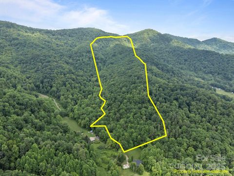 9999 Burnette Reeves Road Leicester NC 28748