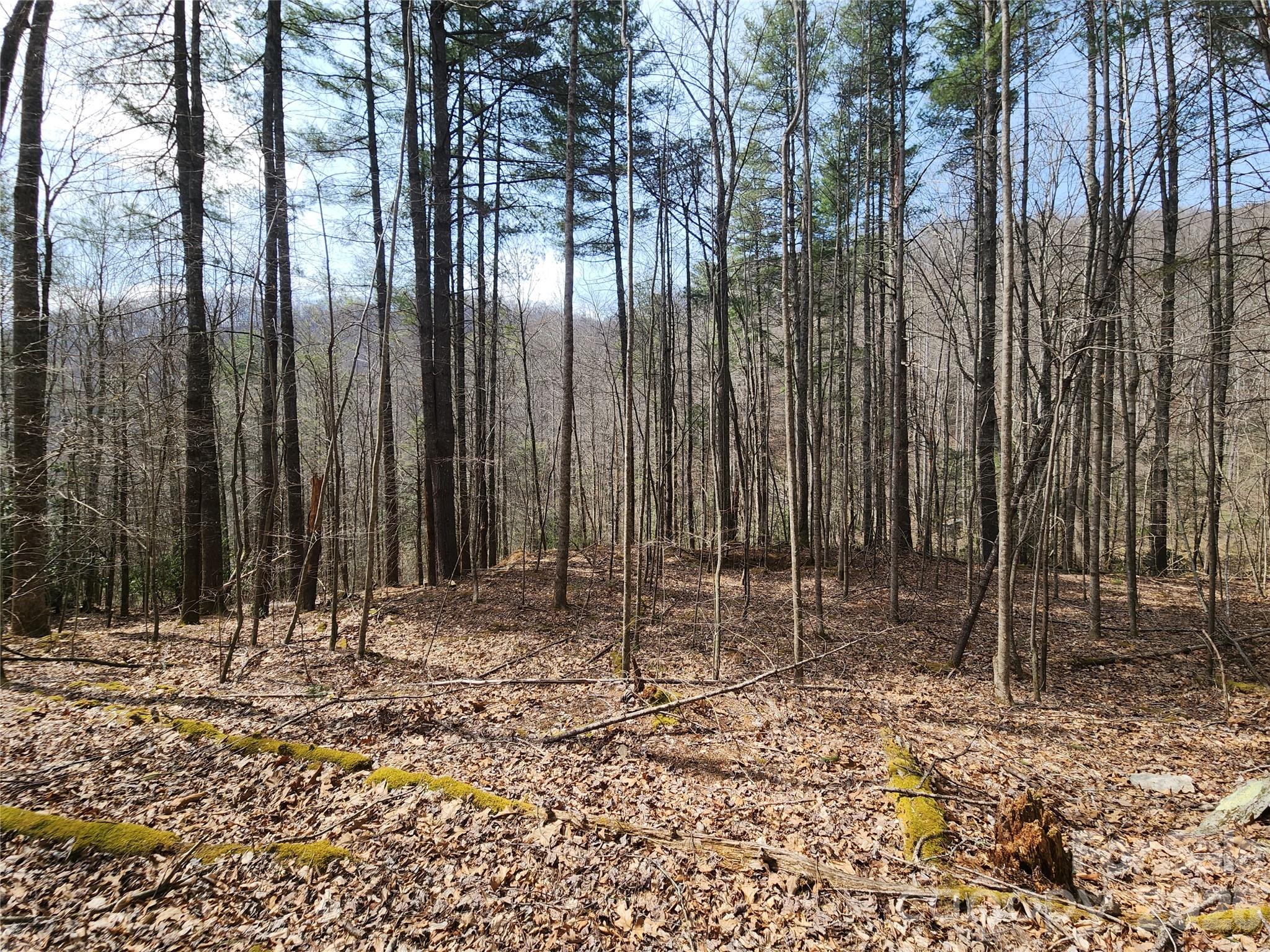 9999 Burnette Reeves Road