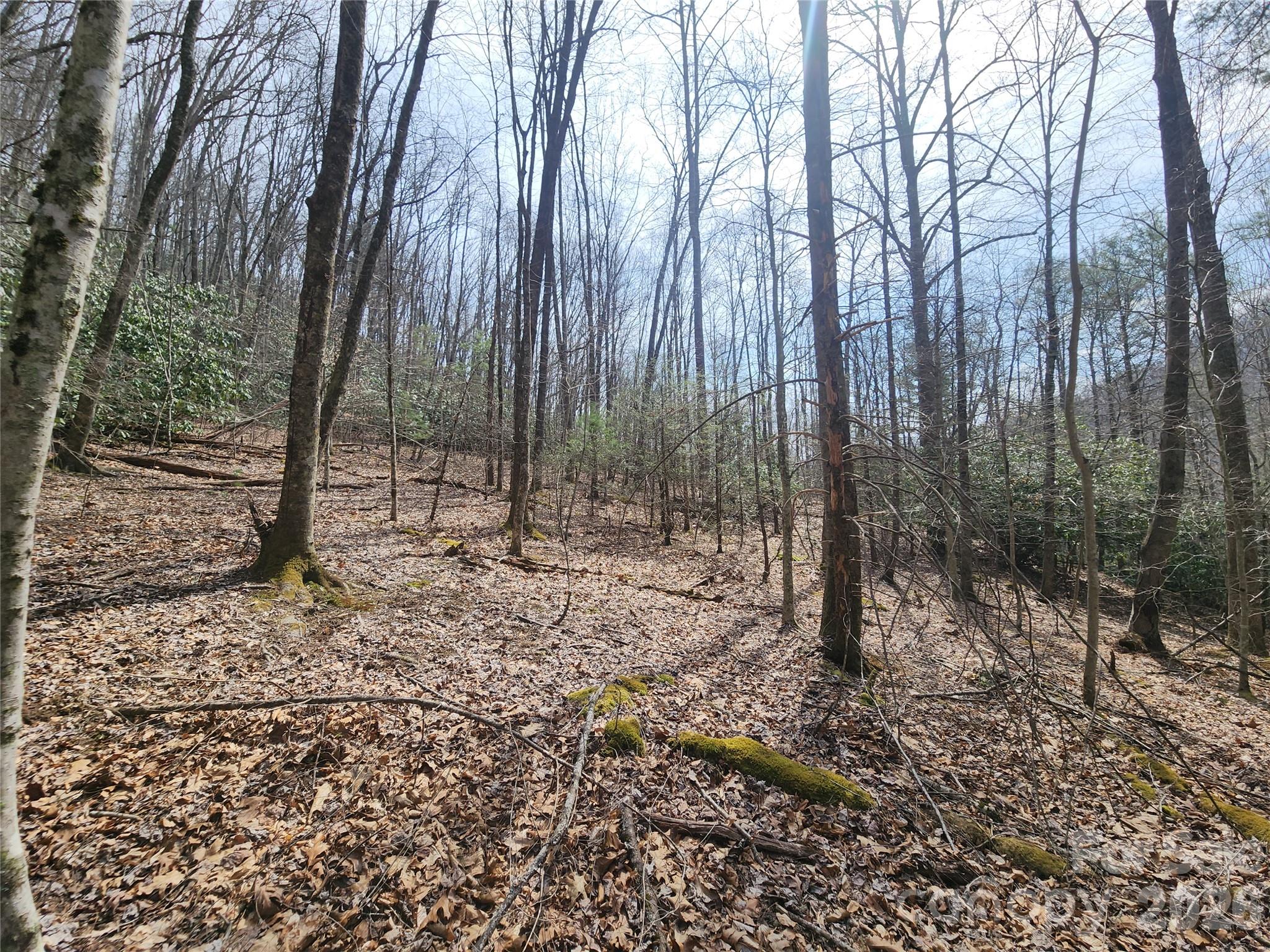 9999 Burnette Reeves Road