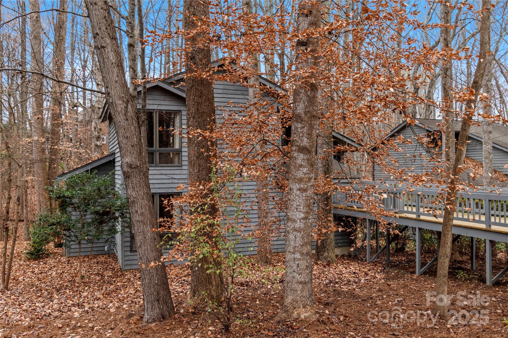 224 Forest Brook Drive