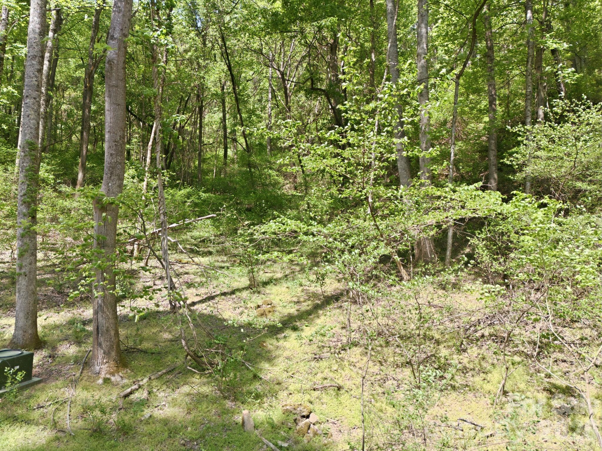 Mountain Park - Residential