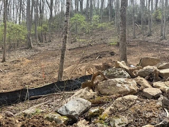 Mountain Park - Residential