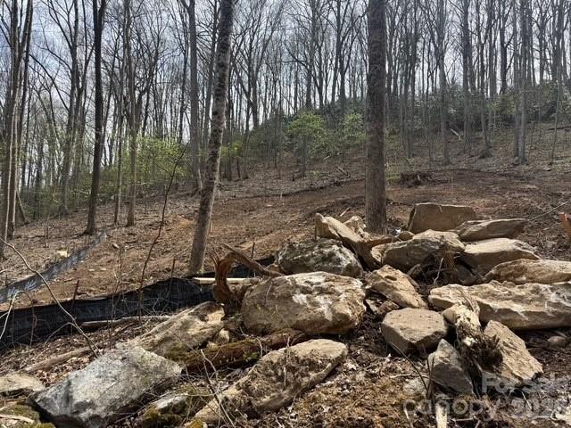 Mountain Park - Residential