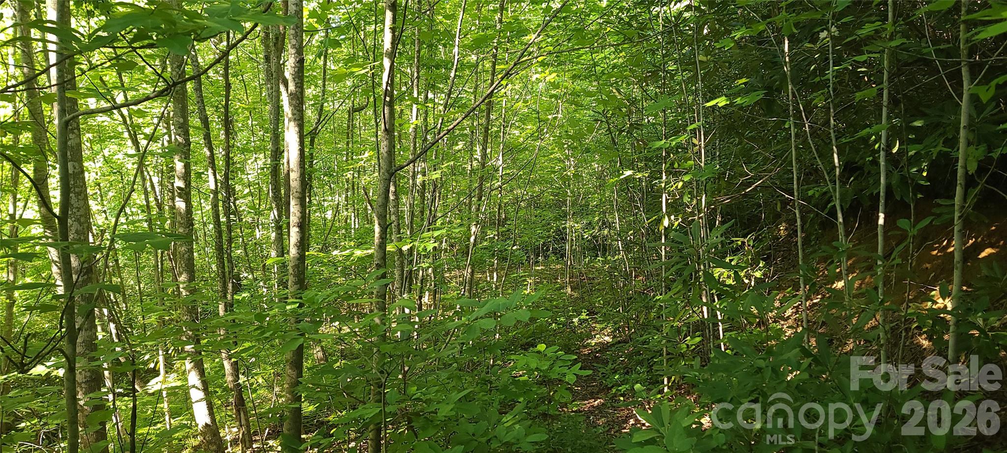 Lot# 19 Mill Creek Road