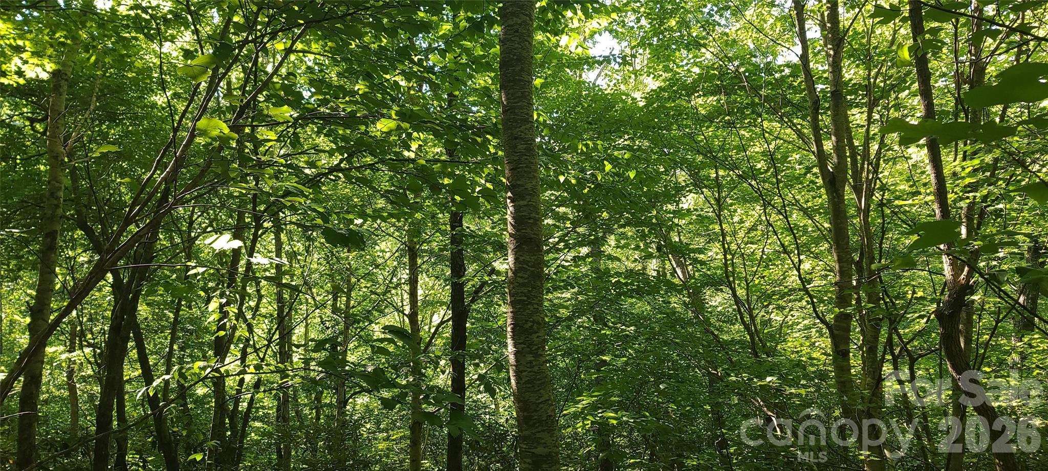 Lot# 19 Mill Creek Road