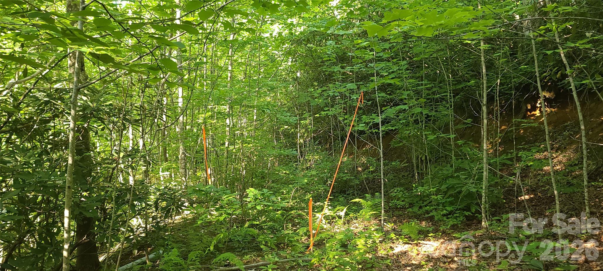 Lot# 19 Mill Creek Road