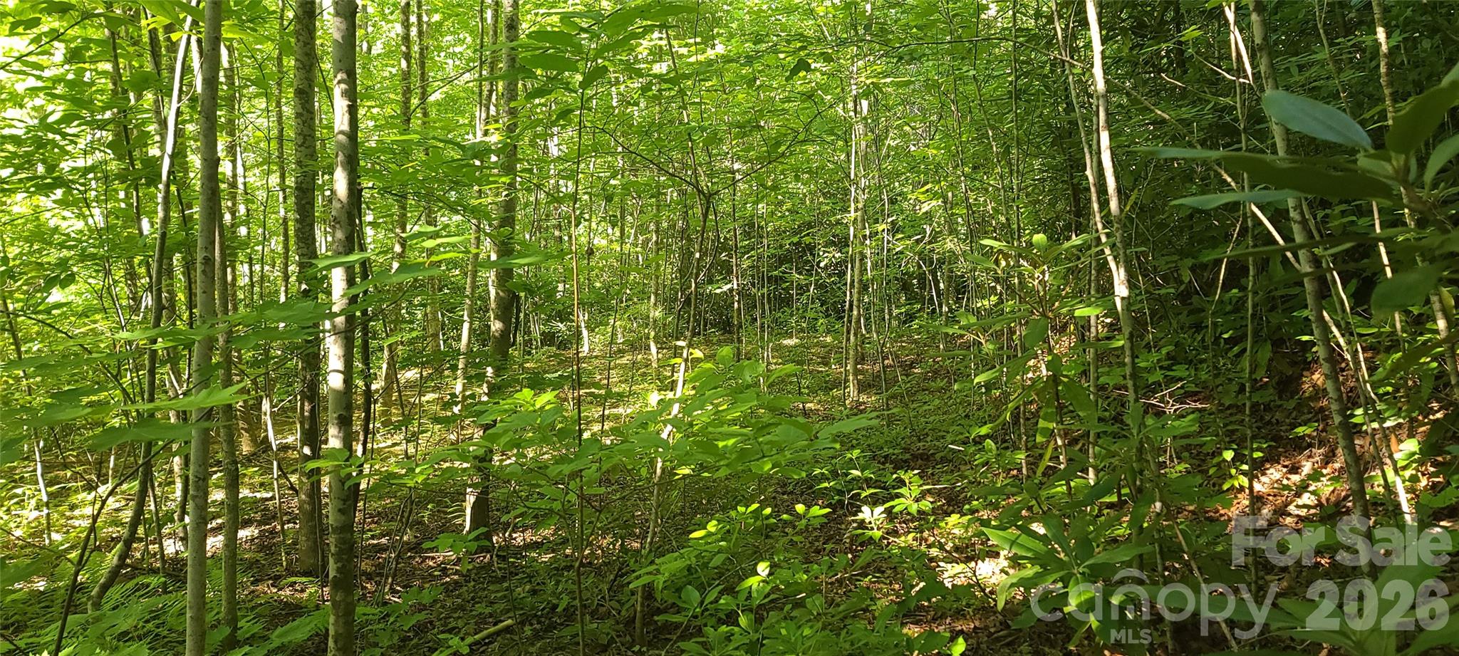 Photo 1 of 16 — Lot# 19 Mill Creek Road, Old Fort, NC 28762