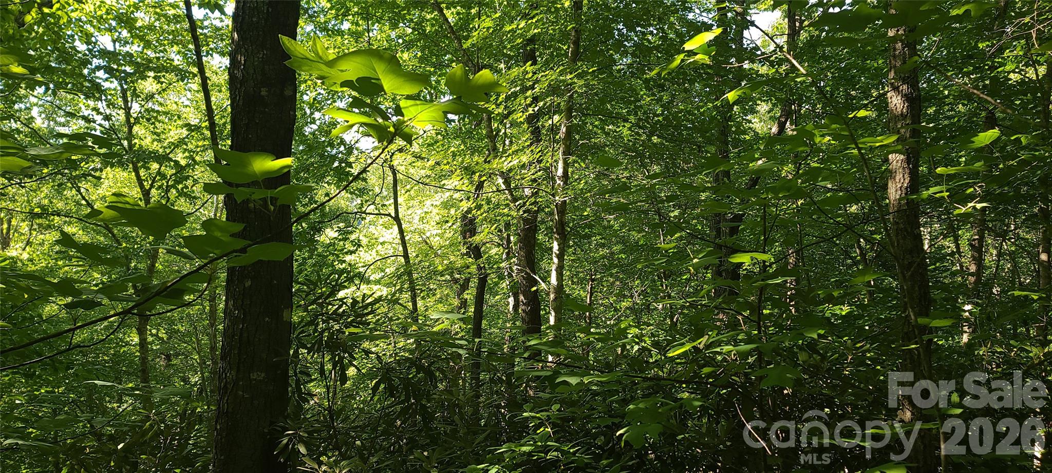 Lot# 19 Mill Creek Road