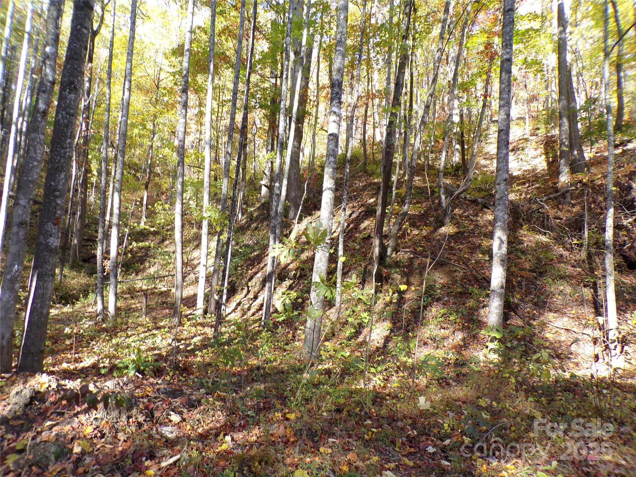 0 High Windy Drive Lot 388