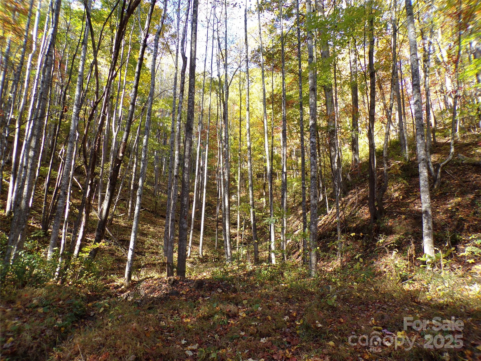 0 High Windy Drive Lot 388